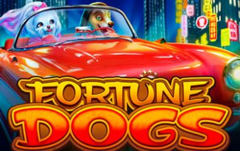 Fortune Dogs